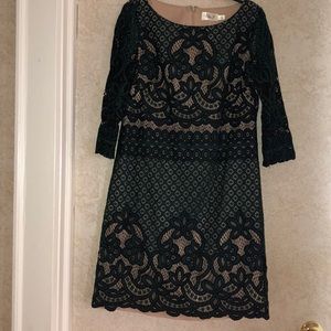 Eliza J  dark green & black lace dress nude slip